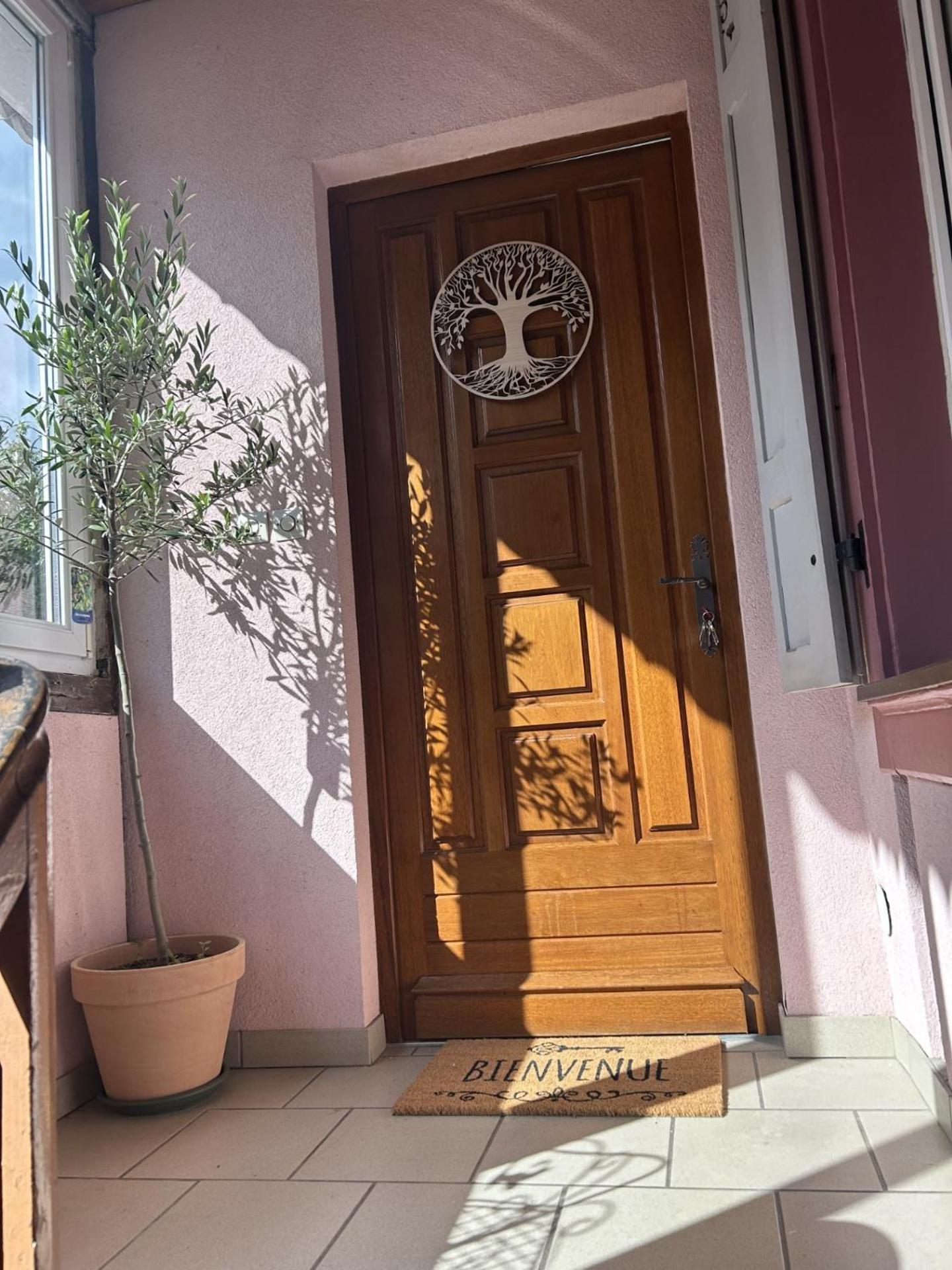Le Petit Coin Des Oliviers Apartment Colmar Luaran gambar